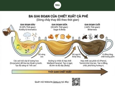 thuat-ngu-pha-ca-phe