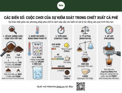 thuat-ngu-pha-ca-phe