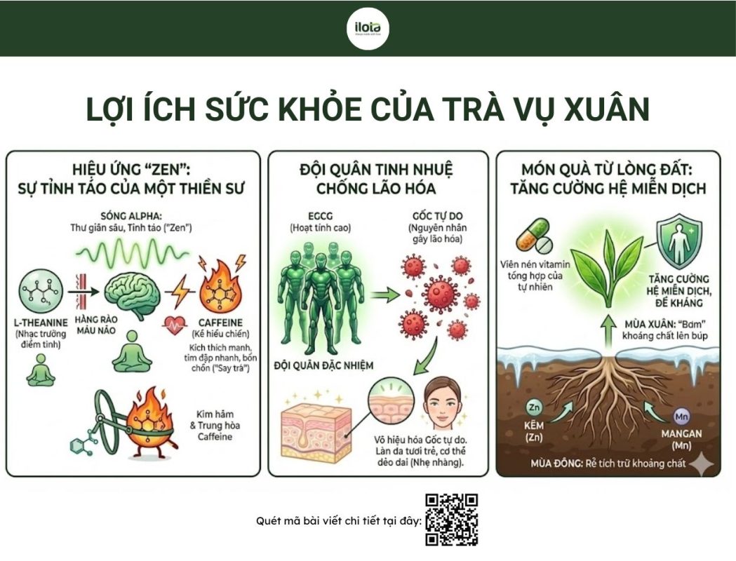 tra-vu-xuan