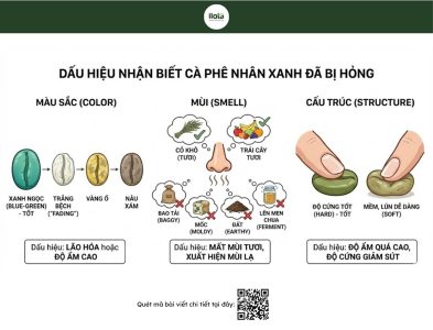 bao-quan-ca-phe-nhan-xanh