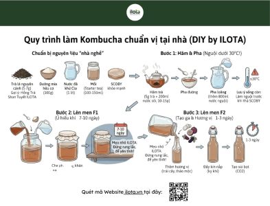 kombucha