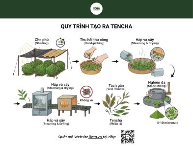 cach-phan-biet-matcha