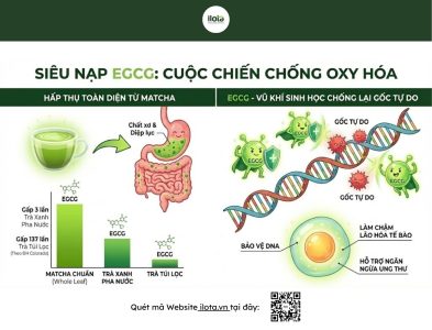 cach-phan-biet-matcha