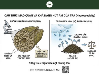 bao-quan-tra-mua-nom