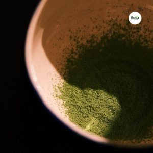 cach-phan-biet-matcha