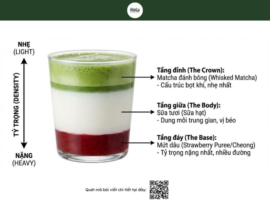 matcha-dau-tay