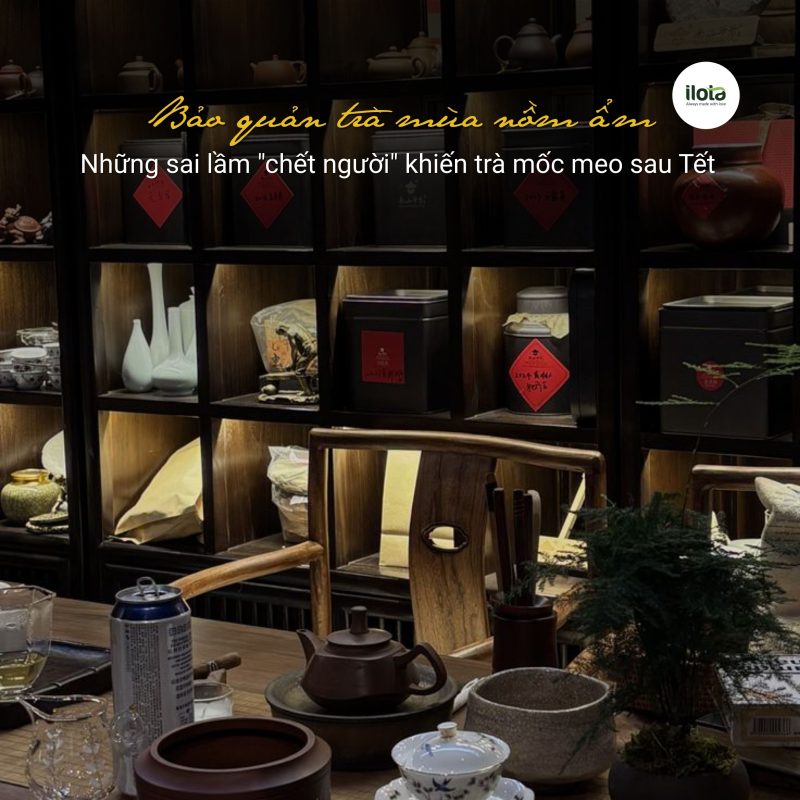 bao-quan-tra-mua-nom