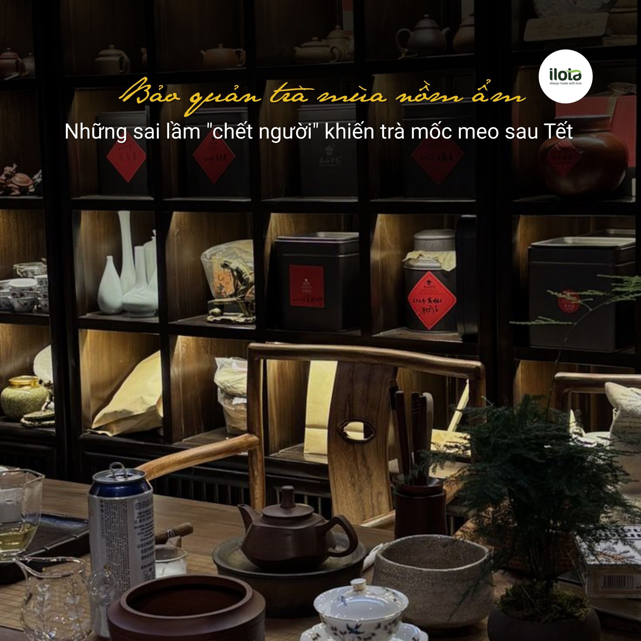 bao-quan-tra-mua-nom