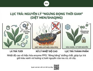 phan-biet-hong-tra-va-luc-tra