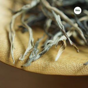 phan-biet-hong-tra-va-luc-tra