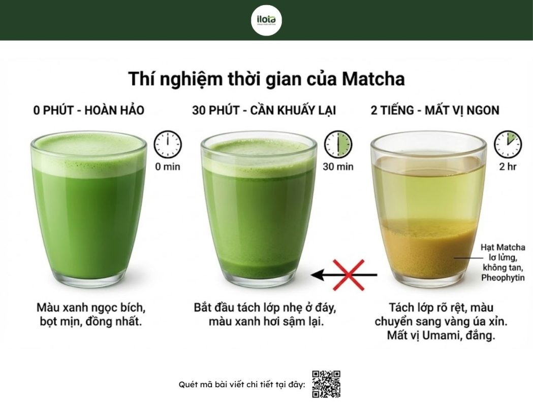 matcha-bi-tach-lop