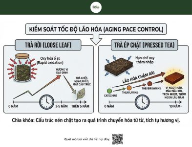 vi-sao-tra-pho-nhi-duoc-ep-chat