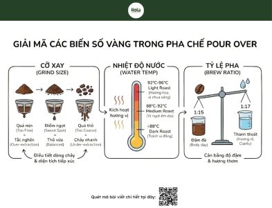 cach-pha-pour-over