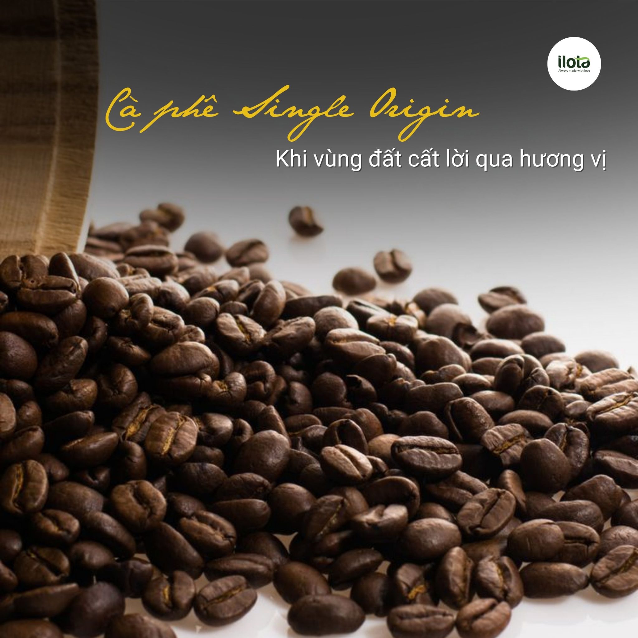 ca-phe-single-origin