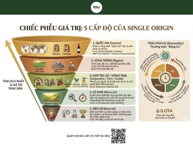 ca-phe-single-origin
