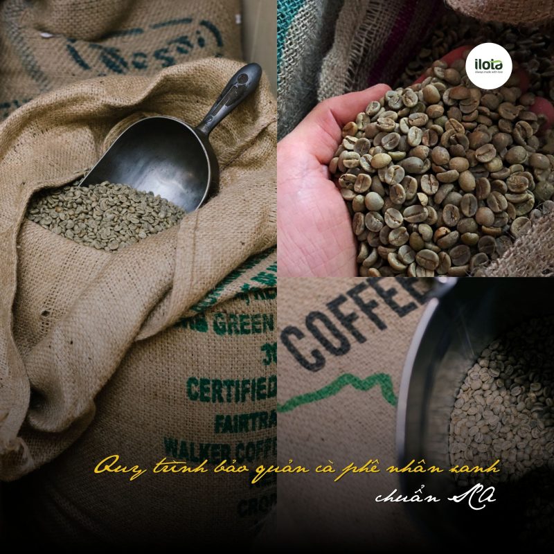 bao-quan-ca-phe-nhan-xanh