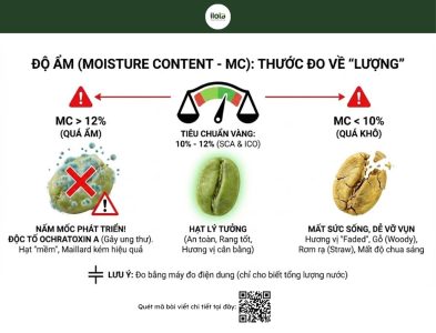 bao-quan-ca-phe-nhan-xanh