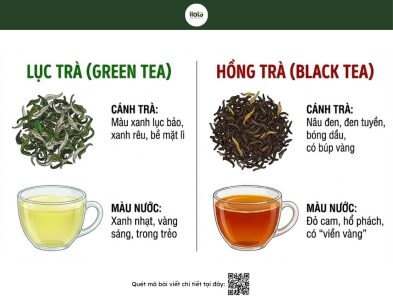 phan-biet-hong-tra-va-luc-tra