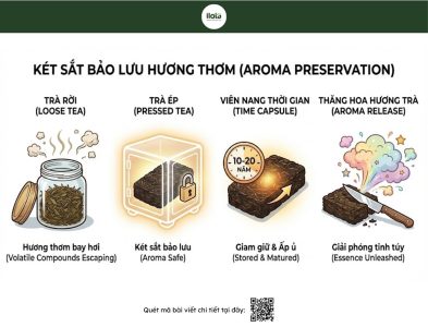 vi-sao-tra-pho-nhi-duoc-ep-chat