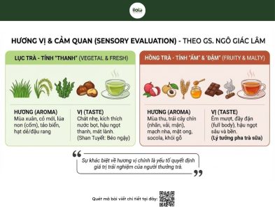 phan-biet-hong-tra-va-luc-tra