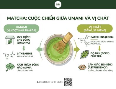 matcha-dau-tay