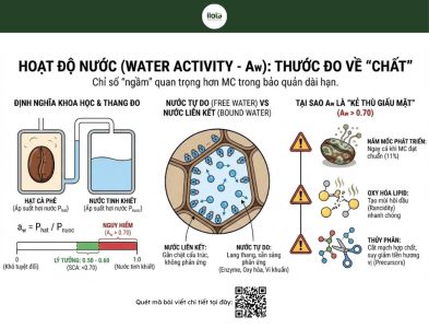 bao-quan-ca-phe-nhan-xanh
