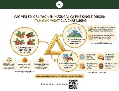 ca-phe-single-origin