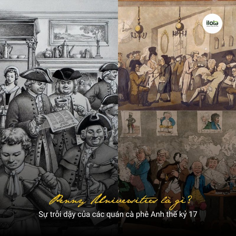 penny-universities-la-gi