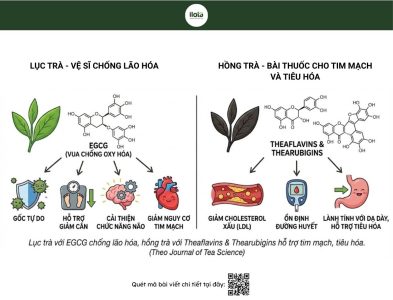 phan-biet-hong-tra-va-luc-tra