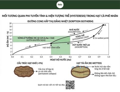bao-quan-ca-phe-nhan-xanh