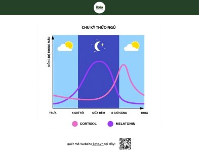 tac-dung-cua-caffeine