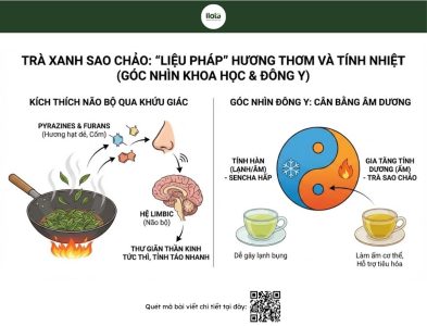 sencha-va-tra-xanh