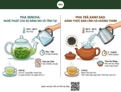 sencha-va-tra-xanh