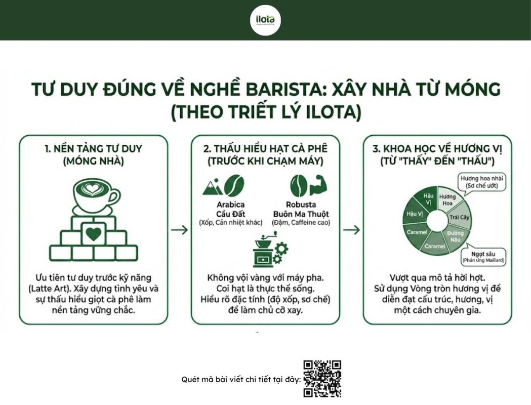 dao-tao-barista