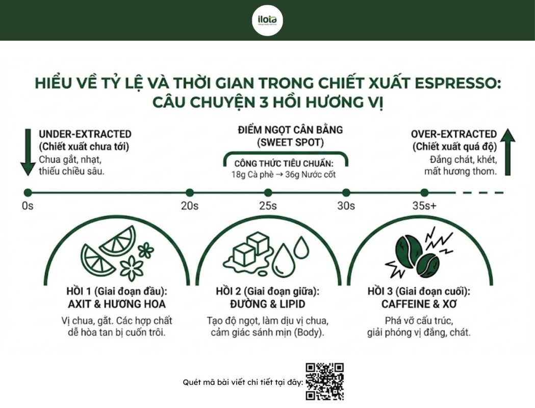 dao-tao-barista