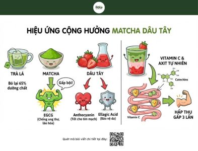 matcha-dau-tay