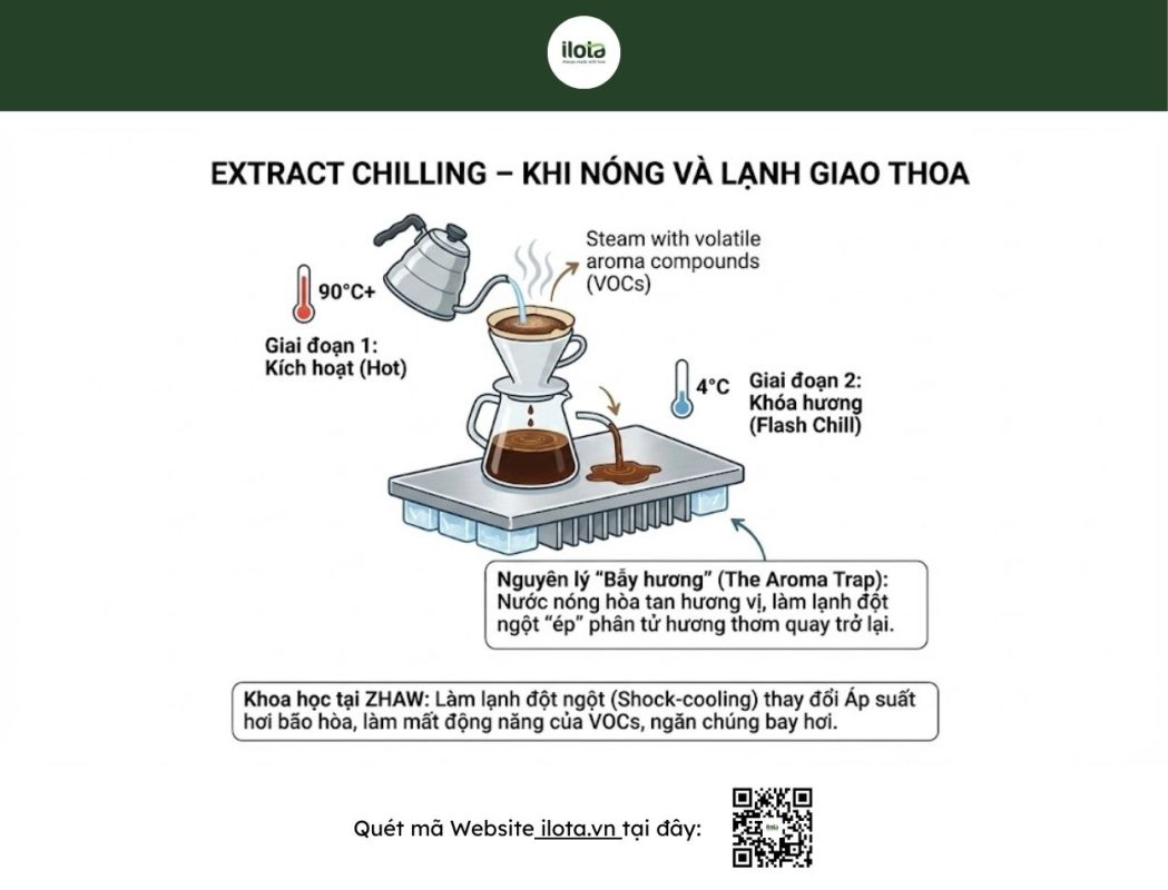 chiet-xuat-lanh