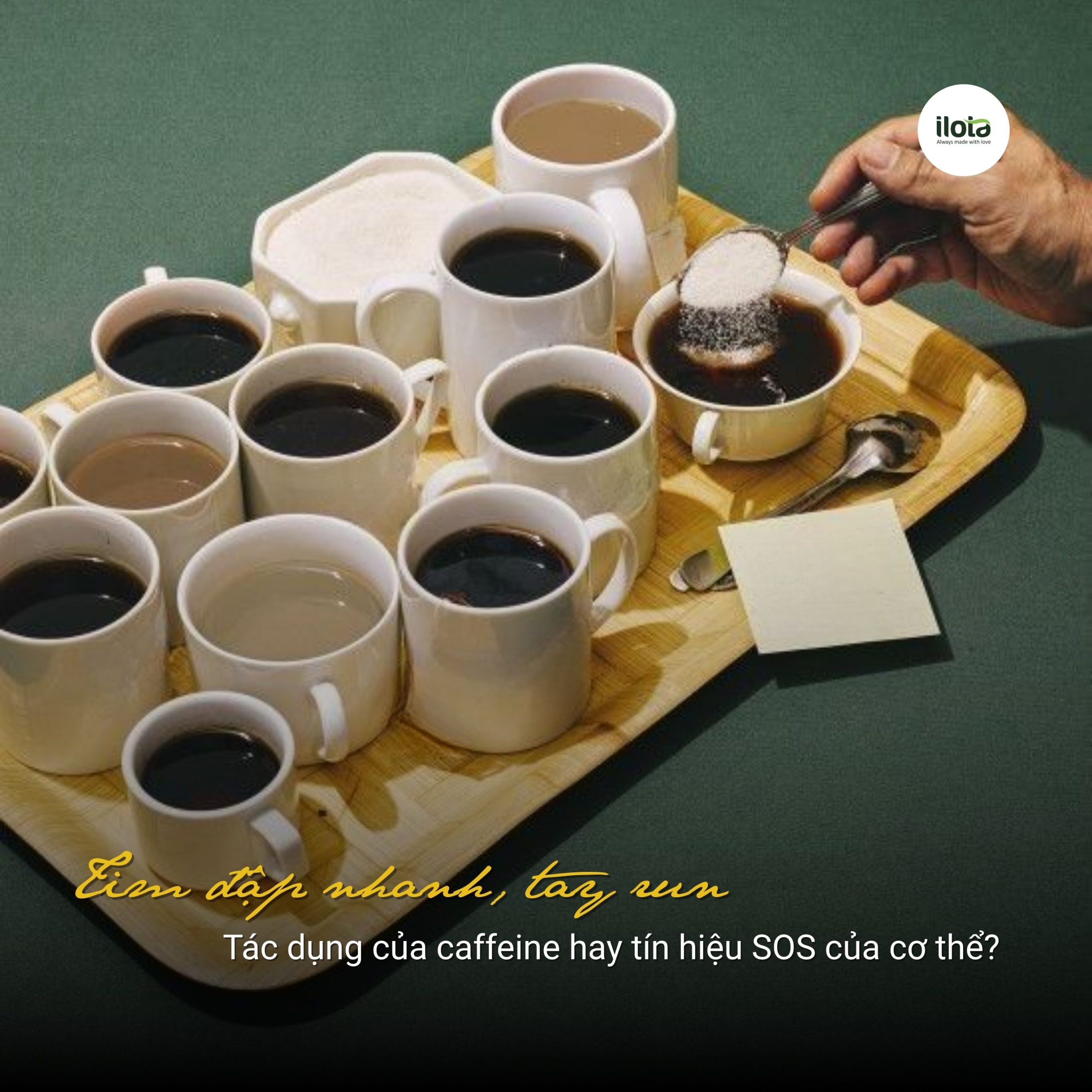 tac-dung-cua-caffeine