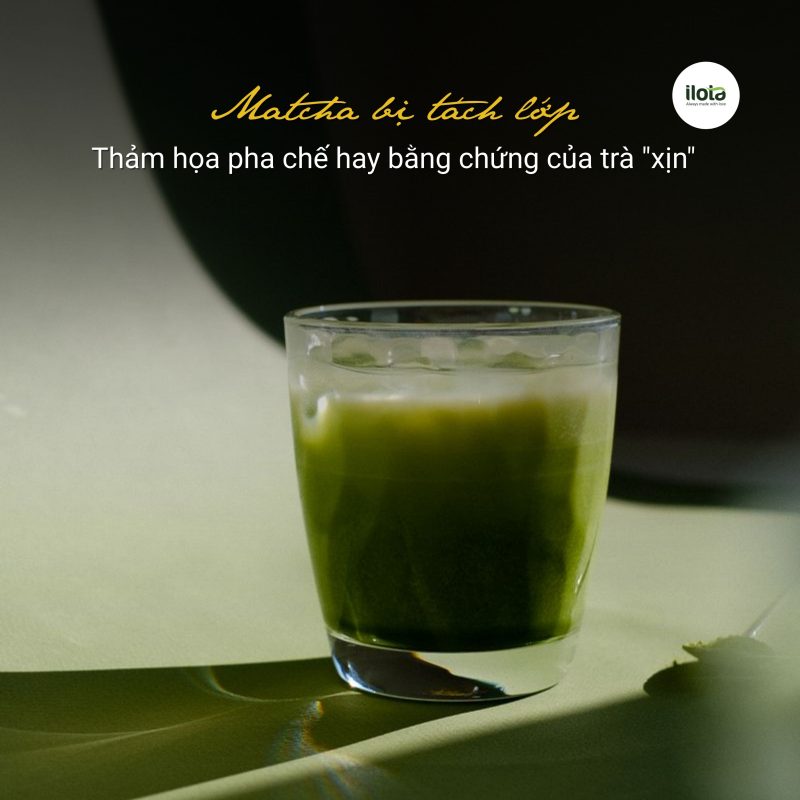 matcha-bi-tach-lop