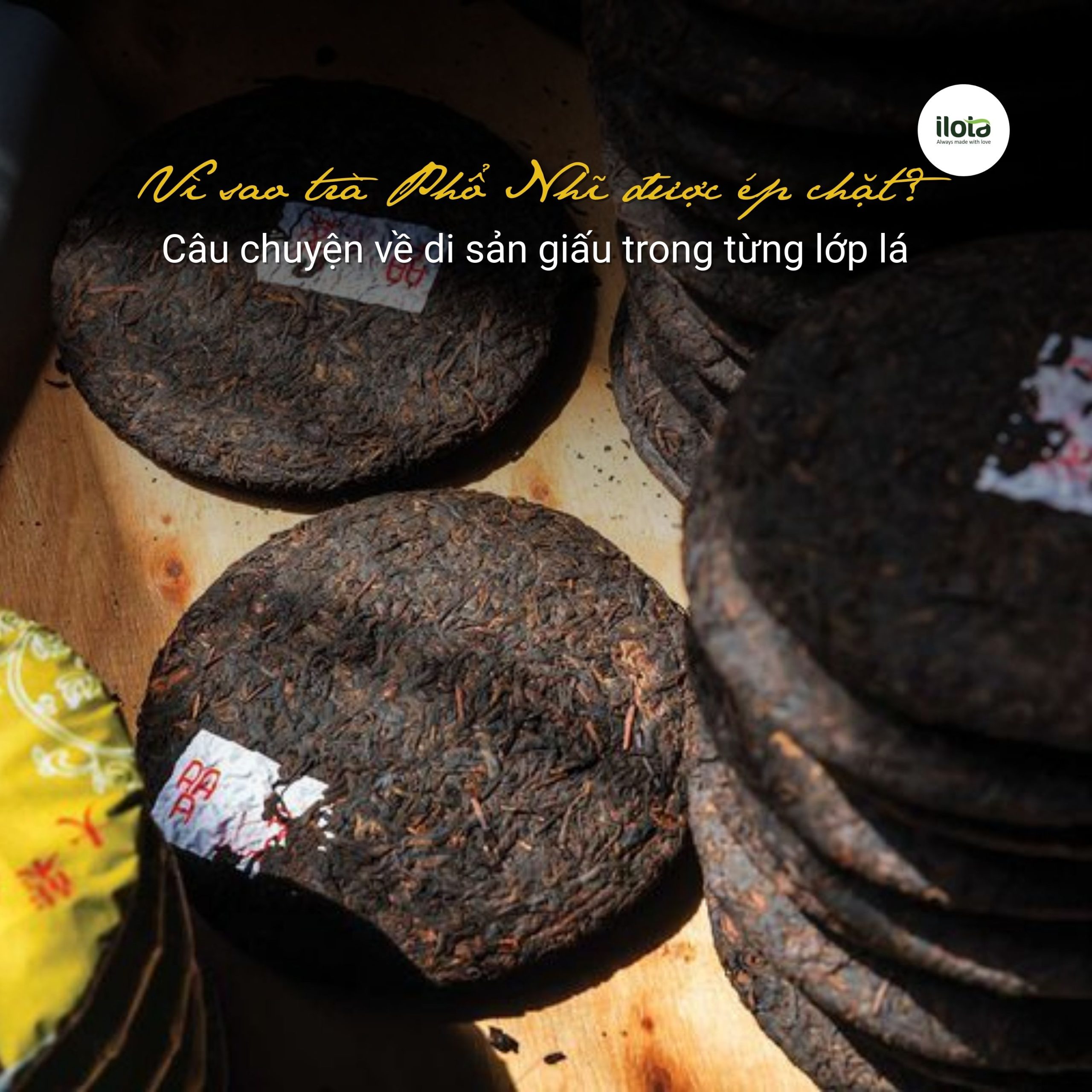 vi-sao-tra-pho-nhi-duoc-ep-chat