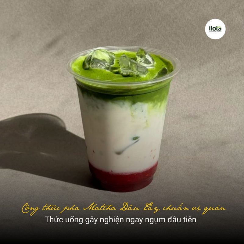 matcha-dau-tay
