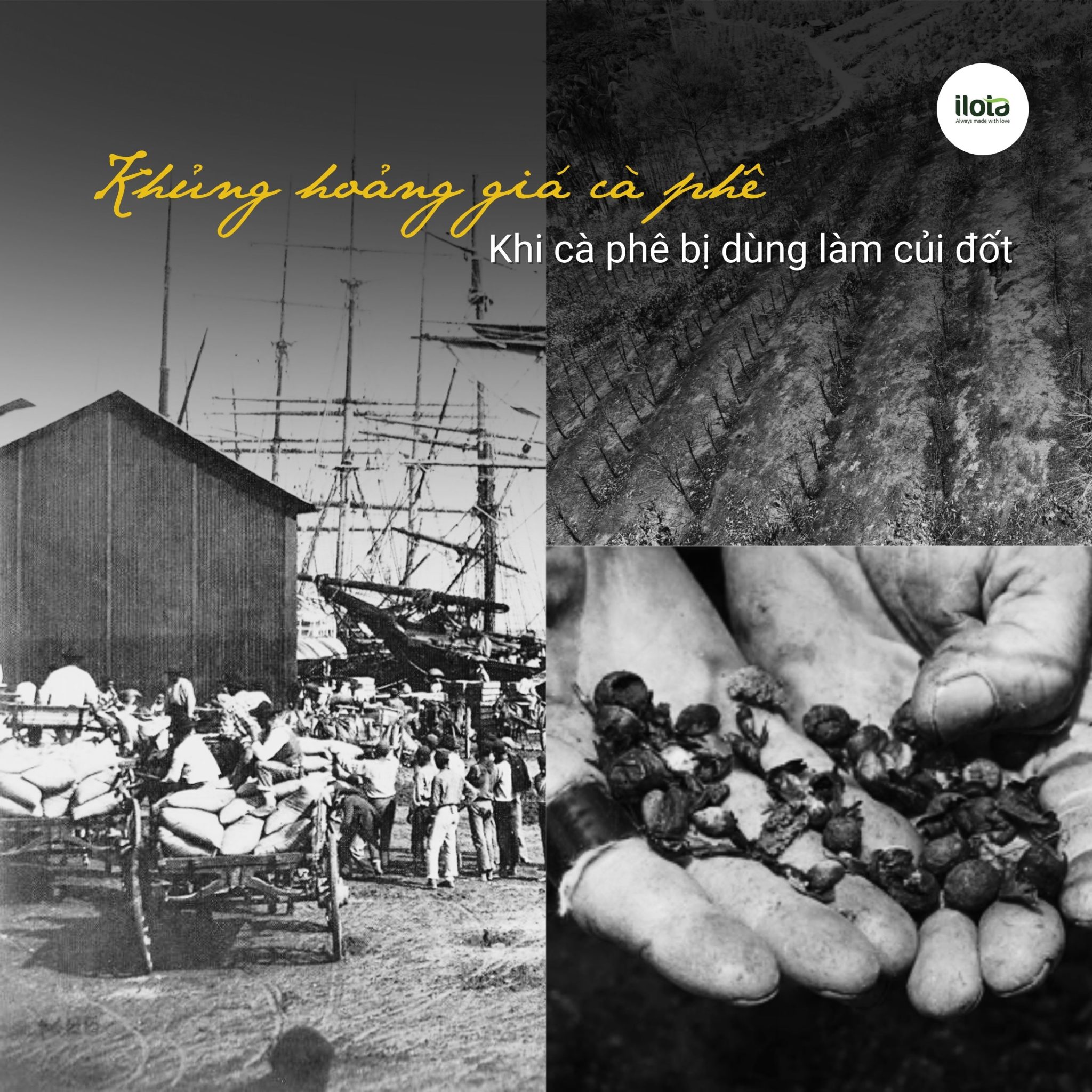 khung-hoang-gia-ca-phe