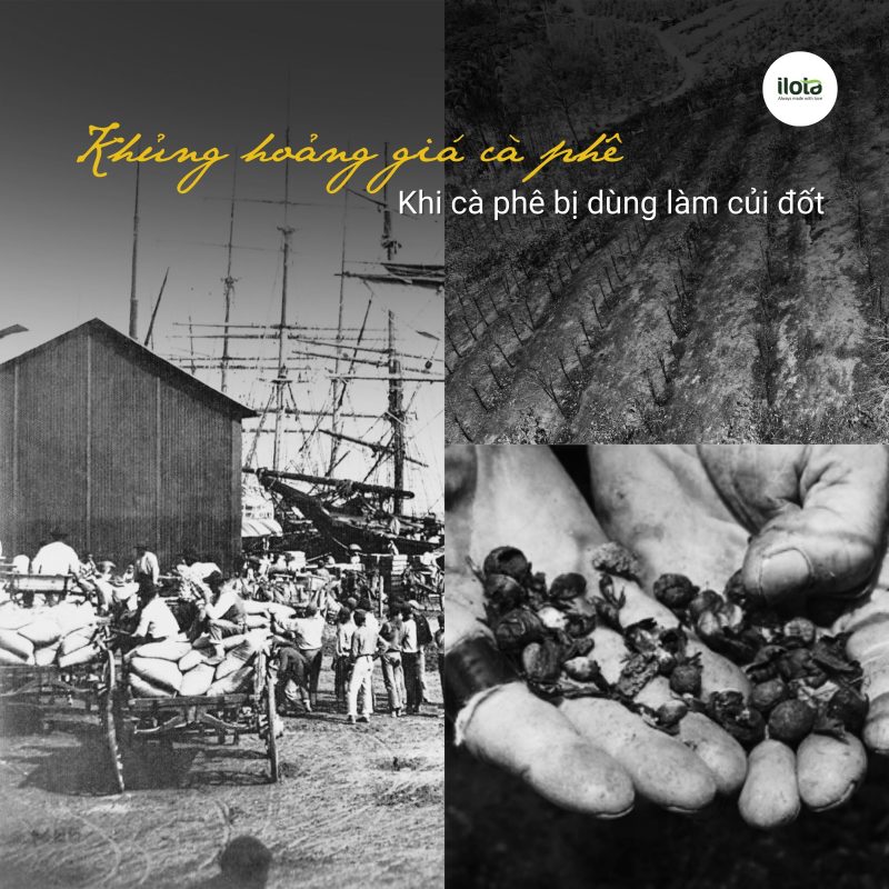 khung-hoang-gia-ca-phe