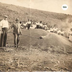 khung-hoang-gia-ca-phe