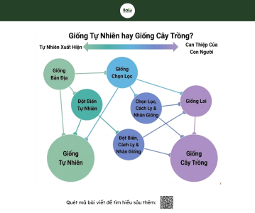 huong-dan-cach-doc-bao-bi-ca-phe-chuan-chuyen-gia