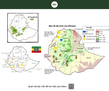 huong-dan-cach-doc-bao-bi-ca-phe-chuan-chuyen-gia