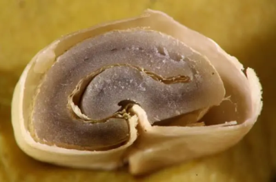 giling-basah-wet-hulling-huong-vi-cua-ca-phe-sumatra