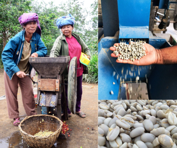 giling-basah-wet-hulling-huong-vi-cua-ca-phe-sumatra