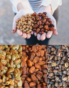 giai-ma-vi-ngot-cua-so-che-ban-uot-ma-dan-sanh-sai