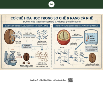 giai-ma-vi-ngot-cua-so-che-ban-uot-ma-dan-sanh-sai